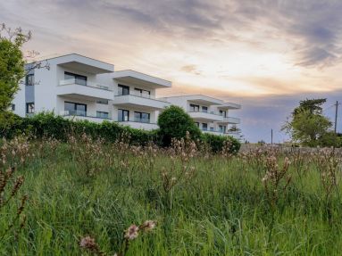 DSC01014-3-final-crop