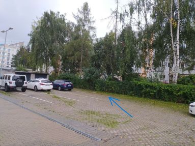 Foto park. miesto v lete